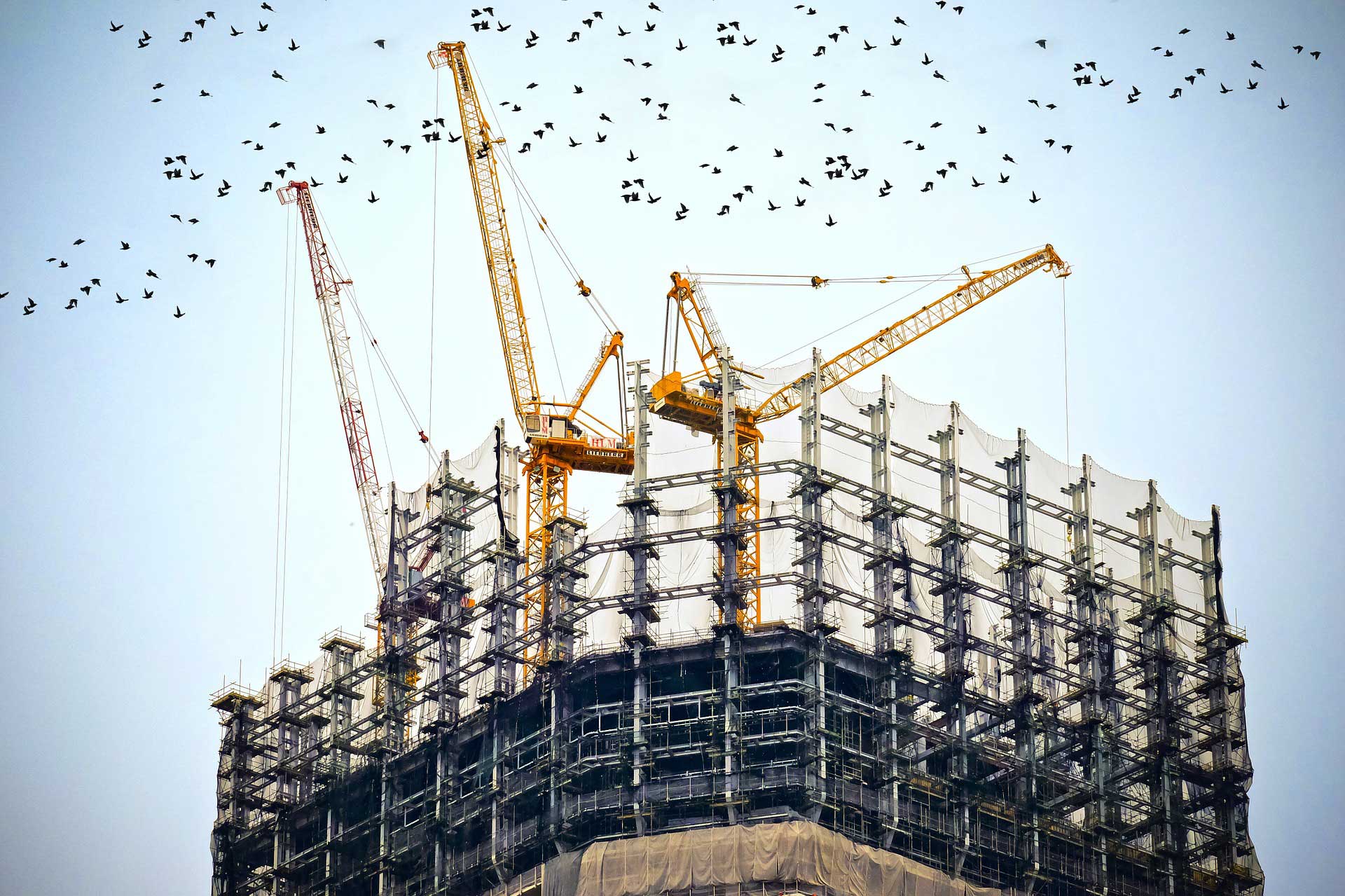 building testo foto