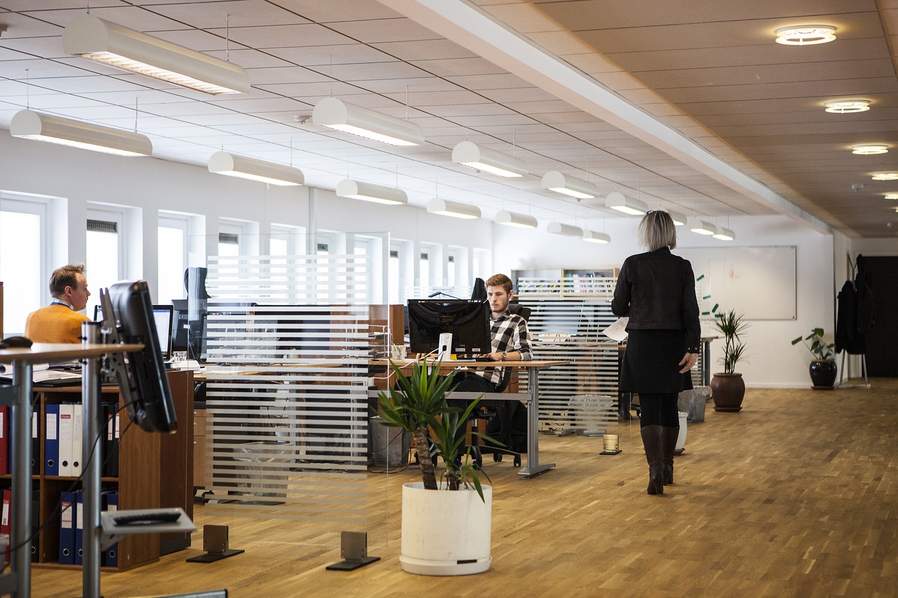 office, business, company-2360063 office, business, company