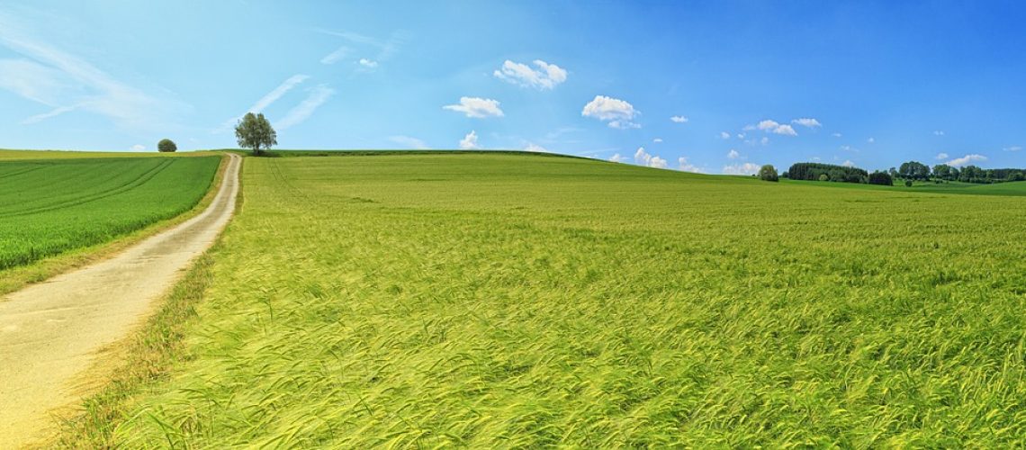 field, countryside, panorama-3629120.jpg